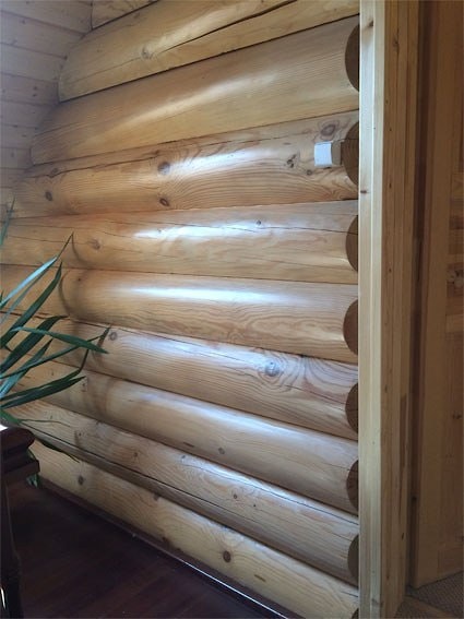 Holz aus Belarus